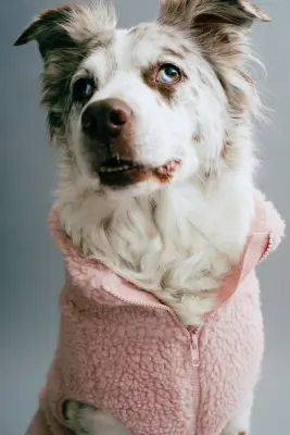 Manteau pour chien en tissu Teddy bear - Rose clair — photo 2