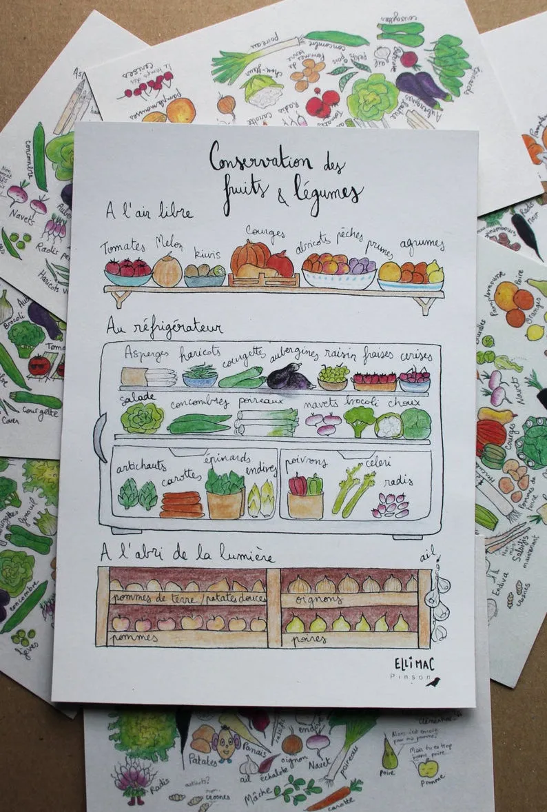 Affiche A5 Conservation Fruits & Légumes – Ellimac Pinson