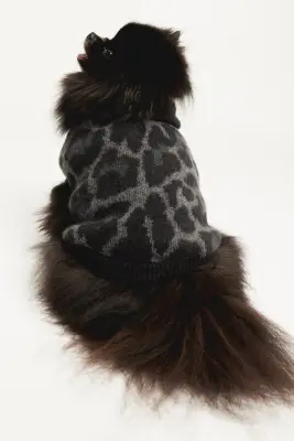 Pull jacquard pour chien - Noir/imprimé léopard — photo 4