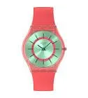 Montre minty mango dream