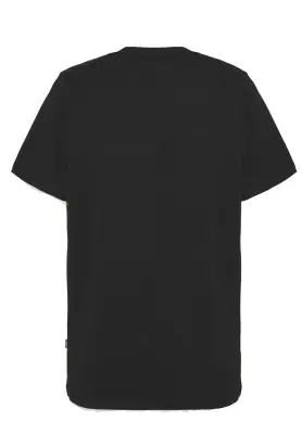 DICKIES MAPLETON TEE SHIRT Marron — photo 3