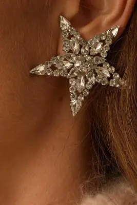 Boucles D'Oreilles Lamelia Argente — photo 3