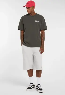 DICKIES TEE SHIRT BUCHTELL Imprimé Noir — photo 4