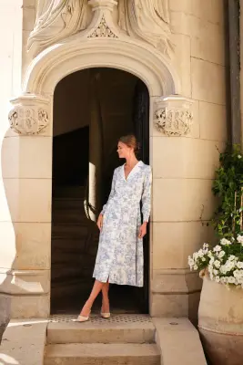 Catalina Toile De Jouy Dress — photo 4