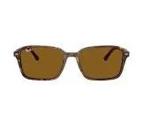 Lunettes de soleil rb 2231 raymond