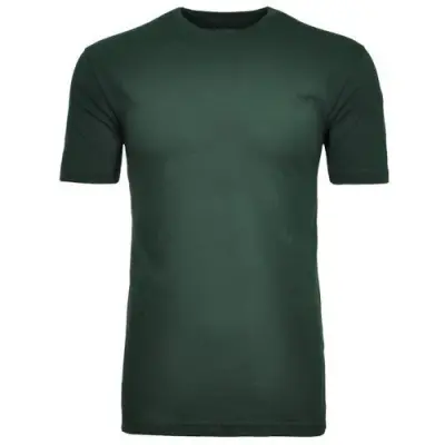 RAGMAN TEE SHIRT COL ROND GRANDE LONGUEUR Vert — photo 1