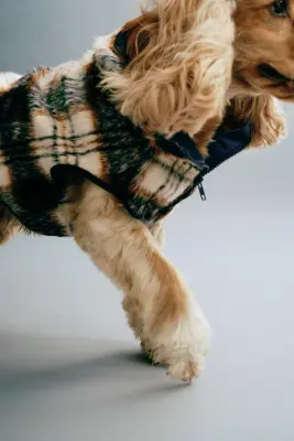 Manteau pour chien en tissu Teddy bear - Beige clair/carreaux — photo 2