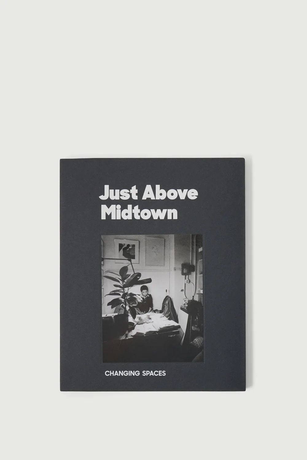 LIVRE 'JUST ABOVE MIDTOWN : CHANGING SPACES'