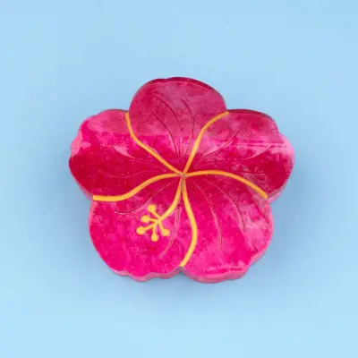 Pince à cheveux Hibiscus Coucou Suzette — photo 1