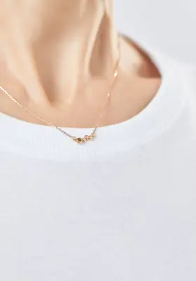 COLLIER IRA — photo 4