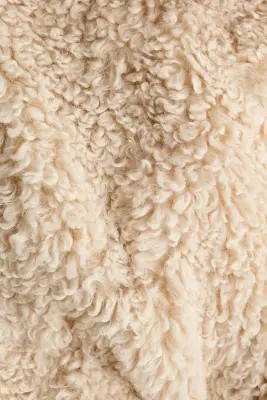 Manteau en tissu Teddy bear avec ceinture à nouer - Beige — photo 5