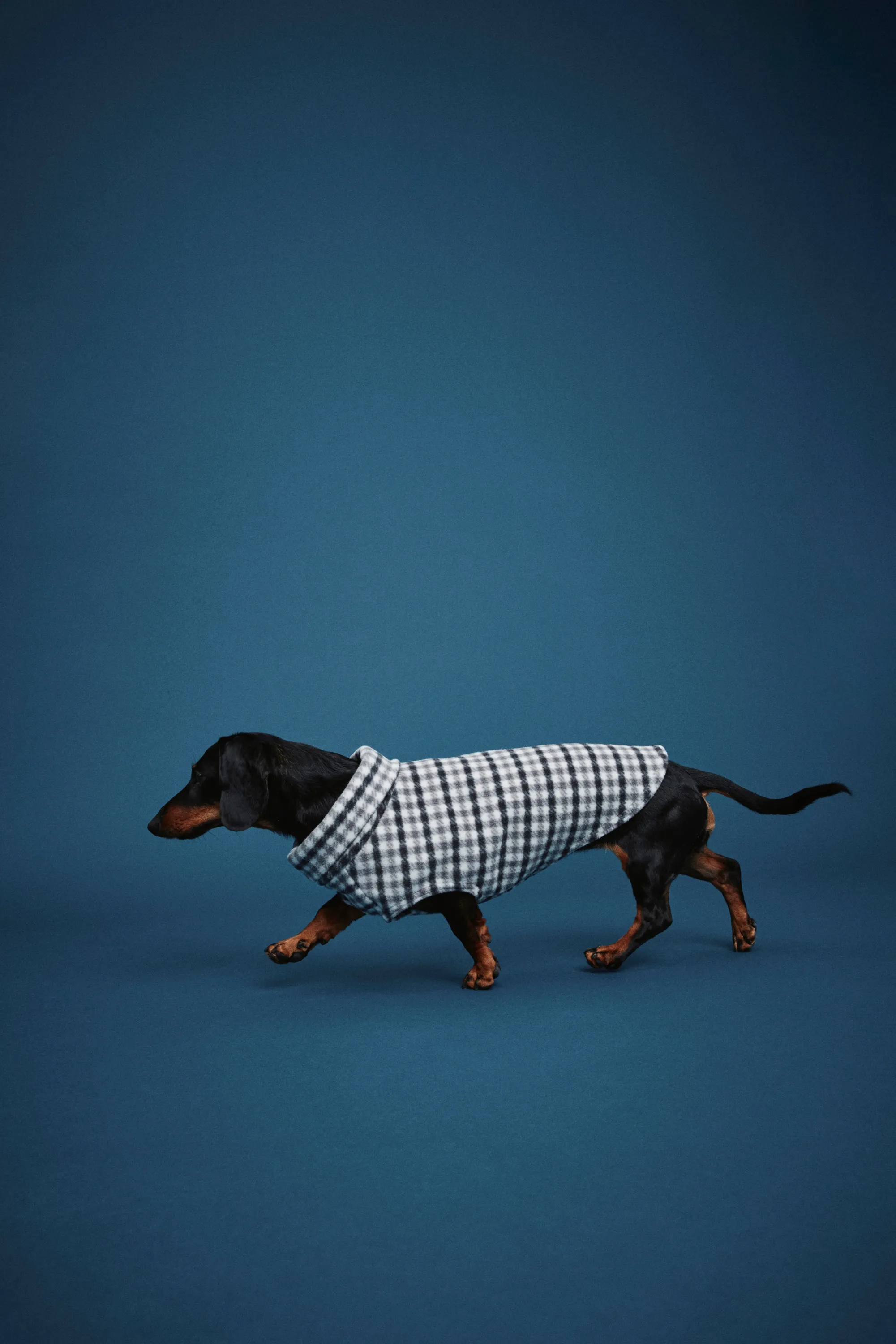 Sweat polaire pour chien - Blanc/vichy