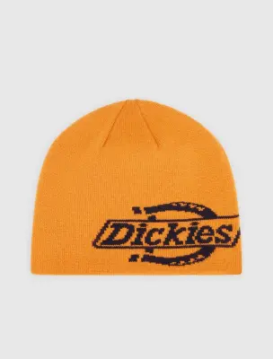 Bonnet Dickies Summerdale logo beanie – Pumpkin spice — photo 1