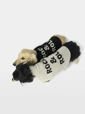 Pull Zadog 100% Laine Mérinos — photo 5